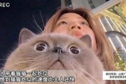 娱乐猫吃瓜,揭秘娱乐圈那些不为人知的幕后故事